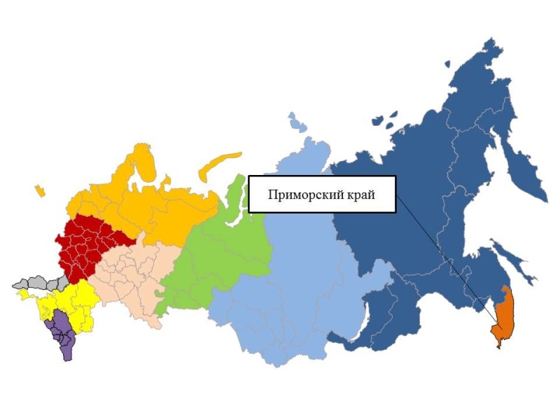 Ежедневный оперативный прогноз на 6 мая 2024 г.