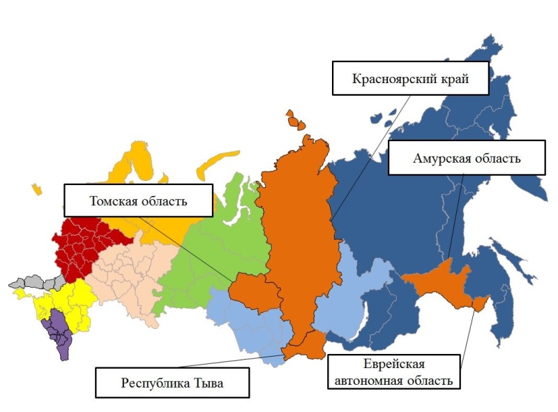 Ежедневный оперативный прогноз на 11 августа 2024 г.