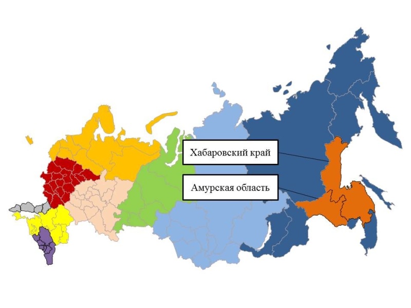 Ежедневный оперативный прогноз на 10 сентября 2024 г.