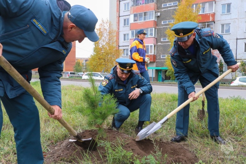 МЧС России поддержали акцию «Сохраним лес»