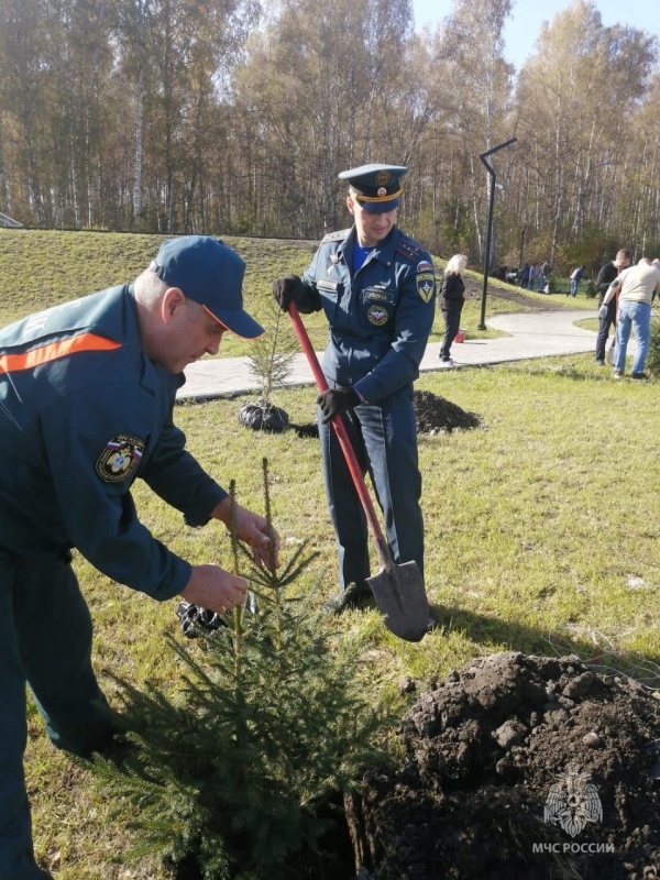 МЧС России поддержали акцию «Сохраним лес»