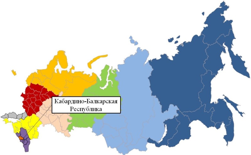 Ежедневный оперативный прогноз на 19 декабря 2024 г.